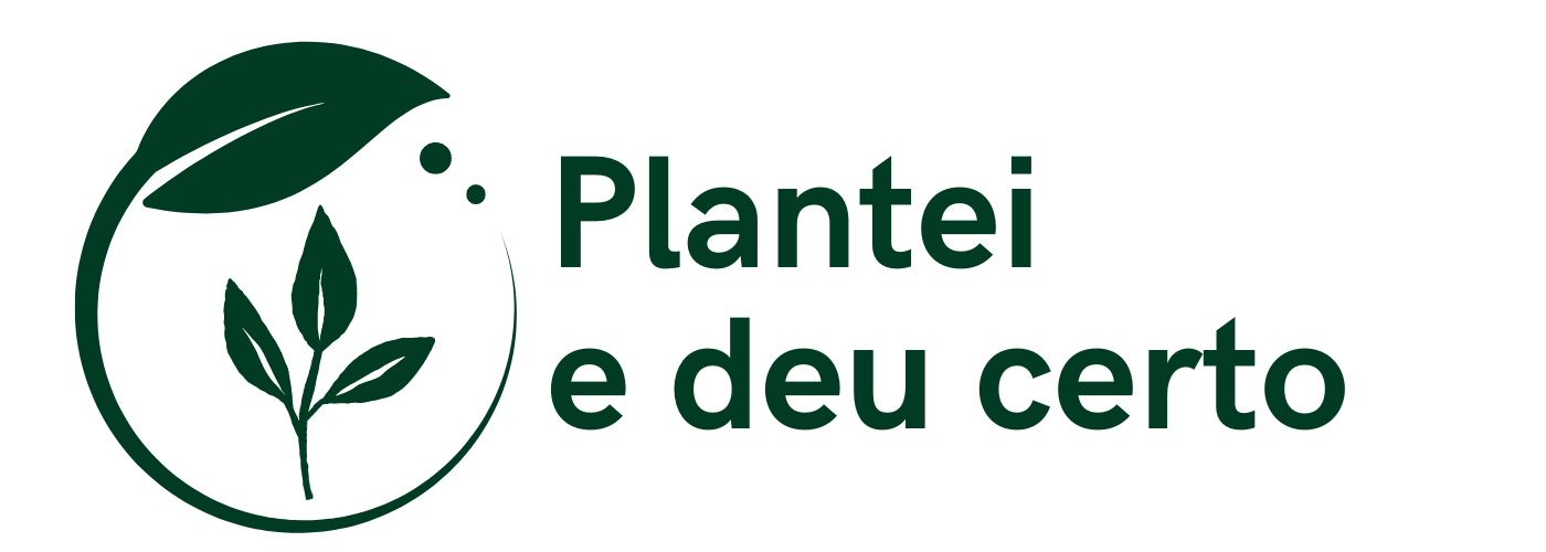 Plantei e deu certo